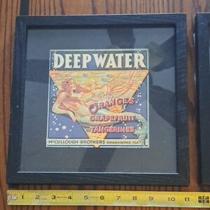 Pair of Framed Vintage Fruit Crate Label Art Reproduction